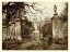 Picture of SEPIA GARDEN VIEW I
