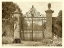 Picture of SEPIA GARDEN VIEW II