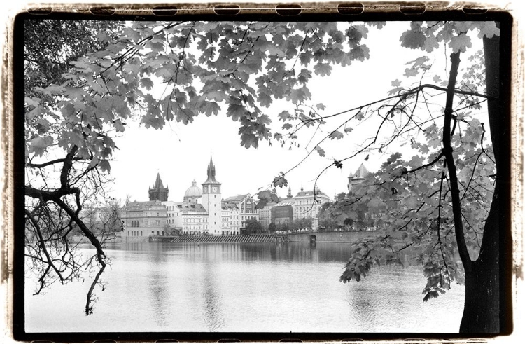 Picture of PEACEFUL RIVER