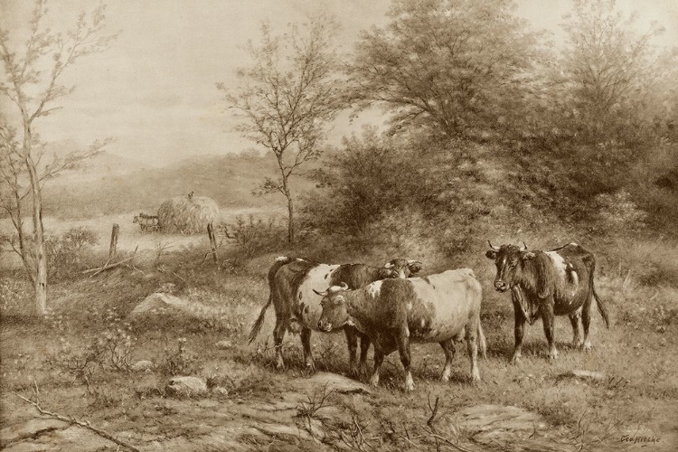 Picture of GRAZING CATTLE