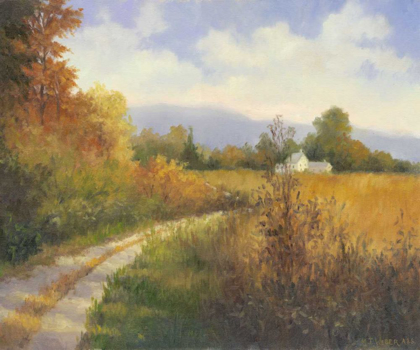 Picture of AUTUMN COUNTRY ROAD