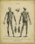 Picture of ANATOMY STUDY II