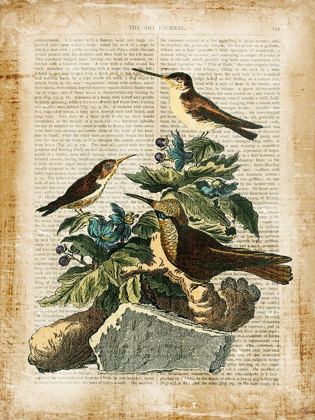 Picture of ANTIQUARIAN BIRDS IV