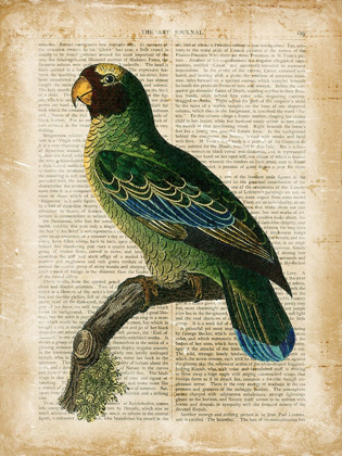 Picture of ANTIQUARIAN BIRDS VI