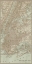 Picture of TINTED MAP OF NEW YORK