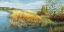Picture of MARSH EDGE