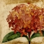 Picture of VIBRANT FLORAL III