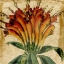 Picture of VIBRANT FLORAL IV