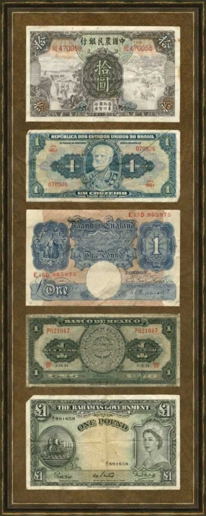 Picture of FOREIGN CURRENCY PANEL II