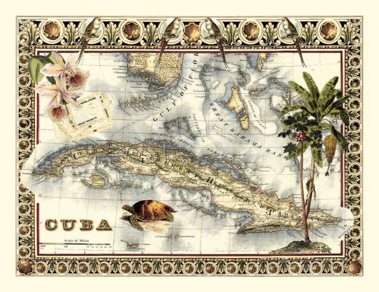 Picture of TROPICAL MAP OF CUBA