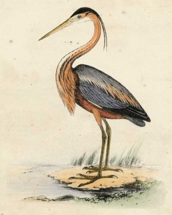 Picture of ANTIQUE HERON II