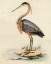 Picture of ANTIQUE HERON II