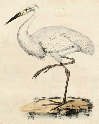 Picture of ANTIQUE HERON III