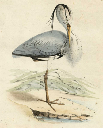 Picture of ANTIQUE HERON IV