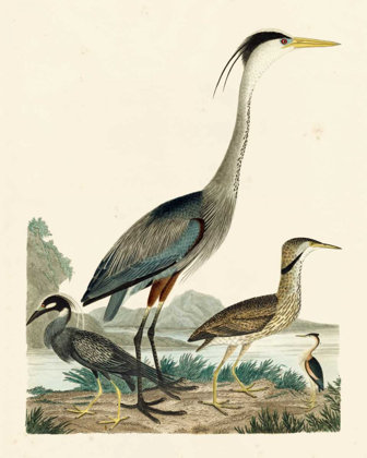 Picture of HERON FAMILY I
