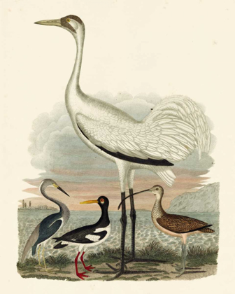 Picture of HERON FAMILY III