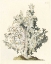 Picture of ANTIQUE CORAL I