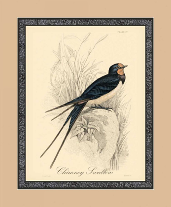 Picture of PRINTED CHIMNEY SWALLOW
