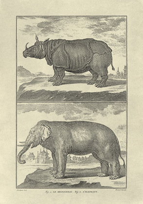 Picture of ELEPHANT AND RHINO