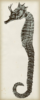Picture of VINTAGE SEAHORSE I