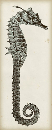 Picture of VINTAGE SEAHORSE II
