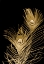 Picture of PLUMES DOR II