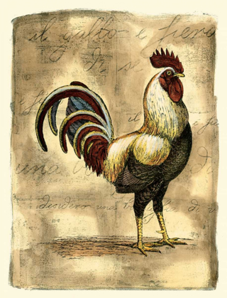Picture of TUSCANY ROOSTER I