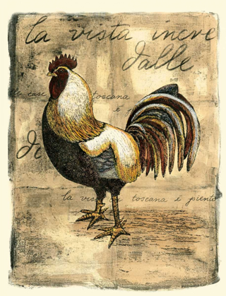 Picture of TUSCANY ROOSTER II