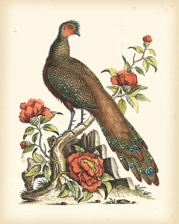 Picture of REGAL PHEASANTS III