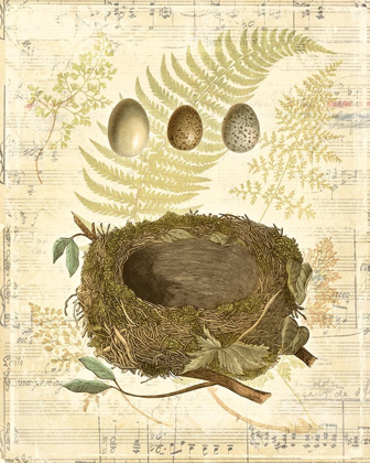 Picture of MELODIC NEST AND EGGS I