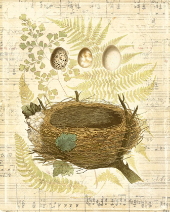Picture of MELODIC NEST AND EGGS II