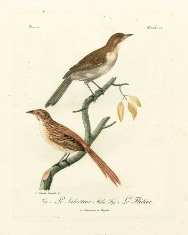 Picture of ANTIQUE FRENCH BIRDS I