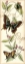 Picture of BUTTERFLY FLIGHT I