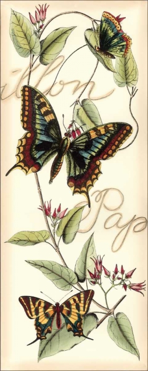 Picture of BUTTERFLY FLIGHT I