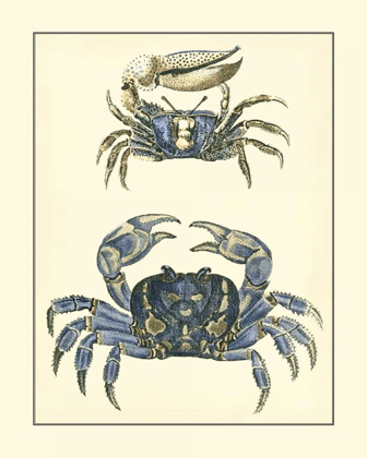 Picture of ANTIQUE BLUE CRABS II