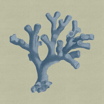 Picture of CHAMBRAY CORAL II