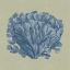 Picture of CHAMBRAY CORAL III