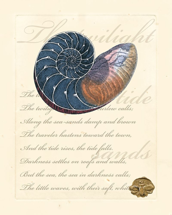 Picture of ROMANCE OF THE SHELL I