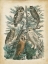 Picture of NATURES GATHERING III