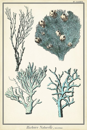 Picture of OVERSIZE CORAL SPECIES II