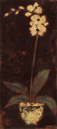 Picture of GILDED ORCHID II