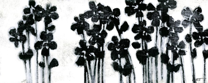 Picture of BLACK FLOWERS ON WHITE I