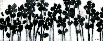 Picture of BLACK FLOWERS ON WHITE II