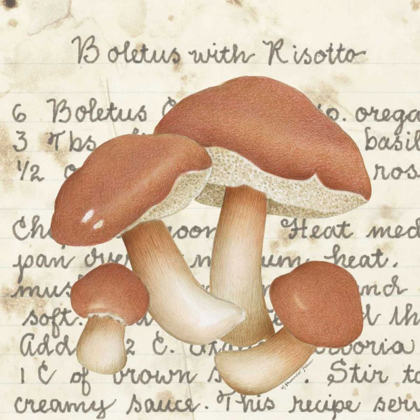 Picture of BOLETUS