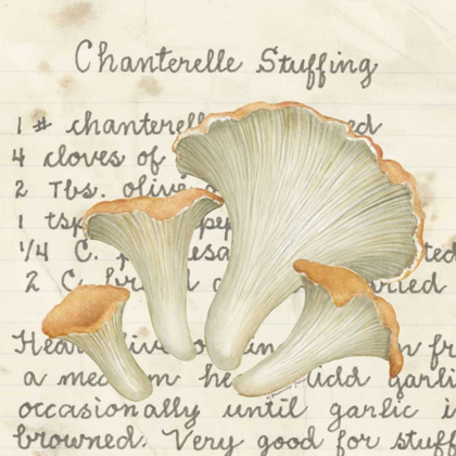 Picture of CHANTERELLE
