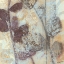 Picture of REPLENISH IV