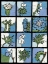 Picture of ASURE BOTANICAL II 12-PATCH