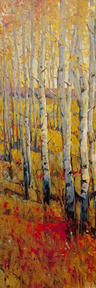 Picture of VIVID BIRCH FOREST I