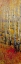 Picture of VIVID BIRCH FOREST I