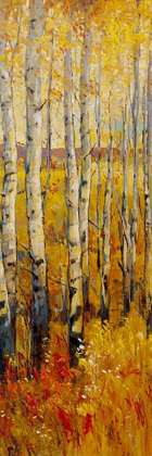 Picture of VIVID BIRCH FOREST II